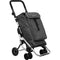 Groentetrolley PLAY 24910C 223