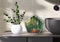 Olymp OL 8001 Sound of Nature Box - Vogelhuisje met 4 geluiden - 12 Covers - Bewegingssensor - Woonkamer, WC, Badkamer, Kantoor
