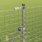 vidaXL - Hekpalen - 13 - stuks - Ø32 - mm - 150 - cm - Gegalvaniseerd - Staal