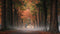Customize it - Tuinschilderij ochtenddauw 70x50cm