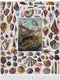 New York Puzzle Company - Vintage Images Mollusks - 1000 stukjes puzzel