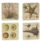 Onderzetters - Set van 4 - Schelpen/Koraal - 10 x 10 x 1 cm - Polystone/Kurk