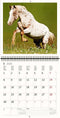 2026 Kalender schrijven 30 x 30 paarden - gratis 2025