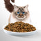 Perfect Fit Kattenbrokken - Sensitive Adult - Kalkoen - 7kg