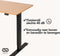 Infinity Goods Zit Sta Bureau - Elektrisch Verstelbaar - 120 x 60 CM - Bruin