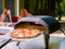 Ooni Koda Gas-Powered Outdoor Pizza Oven