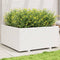 vidaXL - Plantenbak - 100x100x49,5 - cm - massief - grenenhout - wit