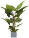 Oosterik home - Allocasia groen 140 cm kunstplant Oosterik Home