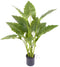 Oosterik home - Allocasia groen 80 cm kunstplant Oosterik Home