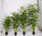 Oosterik home - Mini palm 150 cm kunstplant Oosterik Home