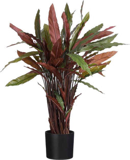Mica Decorations Calathea Roseopicta Kunstplant - H84 x Ø40 cm - Rood