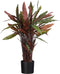 Mica Decorations Calathea Roseopicta Kunstplant - H84 x Ø40 cm - Rood