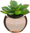 Atmosphera - Keramische Potplant - Kunsplant - Roze pot - H15cm