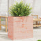 vidaXL - Plantenbak - 70x40x68,5 - cm - massief - douglashout