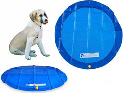Koelmat Hond - Koelmat - Koelmat voor Honden - met Sproeier - Honden Sproeier - 2 in 1 - 100 x 100 cm