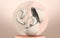 OpenRock Pro Beige - Hoofdtelefoon - Bluetooth - Lange batterij - Ruisonderdrukking - draadloos