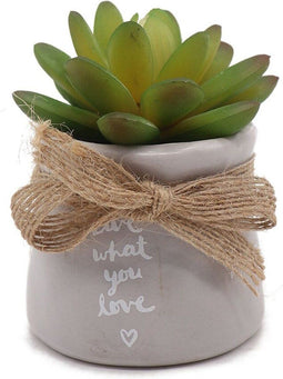 Decoratieve plant Versa Keramisch Plastic 7,62 x 8,13 x 7,62 cm