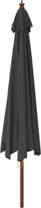 vidaXL - Parasol - met - houten - paal - 400x273 - cm - zwart