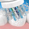 Oral-B Cross Action EB50 - 3 stuks voordeelverpakking - opzetborstels