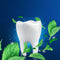 Oral-B Essential Floss Mint - 12 Stuks - Voordeelverpakking