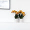 Oranje gouden Phalaenopsis orchidee - Jewel Las Vegas - potmaat Ø12cm -