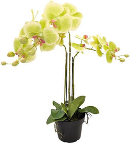 Orchidee kunstplant 3-tak 68 cm, groen