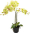 Orchidee kunstplant 3-tak 68 cm, groen