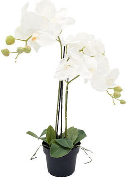 Orchidee kunstplant 3-tak 68 cm, wit