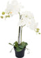 Orchidee kunstplant 3-tak 68 cm, wit