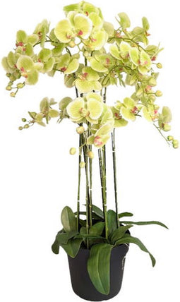 Orchidee kunstplant 9-tak 110 cm, groen