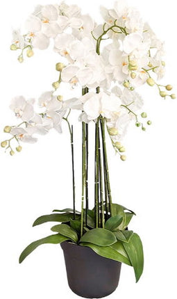 Orchidee kunstplant 9-tak 110 cm, wit