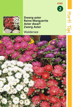 2 stuks - Hortitops - Callistephus Chinensis Waldersee Gemengd