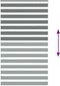 vidaXL - Zebra - rolgordijn - 130x200 - cm - stofbreedte - 125,9 - cm - donkergrijs