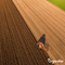 Organifer - Basaltmeel Bodemverbeteraar voor kleigrond (48x - 960 kg voor 9600 m2)