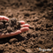 Organifer - Basaltmeel Bodemverbeteraar voor kleigrond (48x - 960 kg voor 9600 m2)