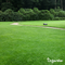 Organifer - Gazon Topdressing - Mix met Mycorrhiza en Rhizobacteriën (Bigbag 1000 Liter - voor 1000m