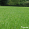 Organifer - Herstelgazon Graszaad – Resilient (10x = 150 kg voor 7500 m2)