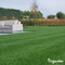 Organifer - Herstelgazon Graszaad – Resilient (10x = 150 kg voor 7500 m2)