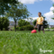 Organifer - Herstelgazon Graszaad – Resilient (10x = 150 kg voor 7500 m2)