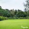 Organifer - Herstelgazon Graszaad – Resilient (10x = 150 kg voor 7500 m2)
