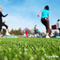 Organifer - Herstelgazon Graszaad – Resilient (10x = 150 kg voor 7500 m2)