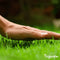 Organifer - Herstelgazon Graszaad – Resilient (10x = 150 kg voor 7500 m2)