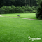 Organifer - IJzersulfaat Meststof - Mos verwijderaar - 20kg -Voor 1000m2