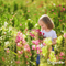 Organifer - Plukbloemen mengsel – Colour – 32 soorten Snijbloemen (1 kg voor 500 m2)