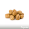 Organifer - Pootaardappelen Agria A 28/35 (5 kg)