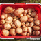 Organifer - Pootaardappelen Agria A 28/35 (5 kg)