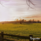 Organifer - Weidegraszaad Meadow – Voor Paarden en Kleinvee (10x = 150 kg voor 3 ha)