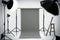 naadloze papieren achtergrond voor fotografie lichtgrijs foto-achtergrondpapier (53''x16.4' Pursuit Grey)