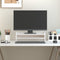 vidaXL - Monitorstandaard - 100x24x16 - cm - massief - grenenhout - zwart
