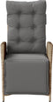 vidaXL - Tuinstoel - verstelbaar - met - voetensteun - poly - rattan - gemengd - beige